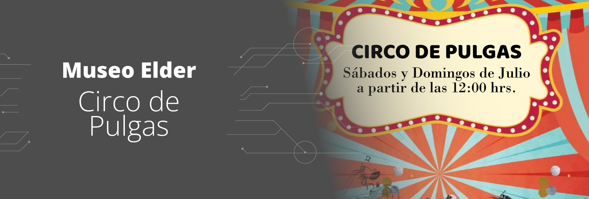 CIRCO PULGAS JULIO (2)
