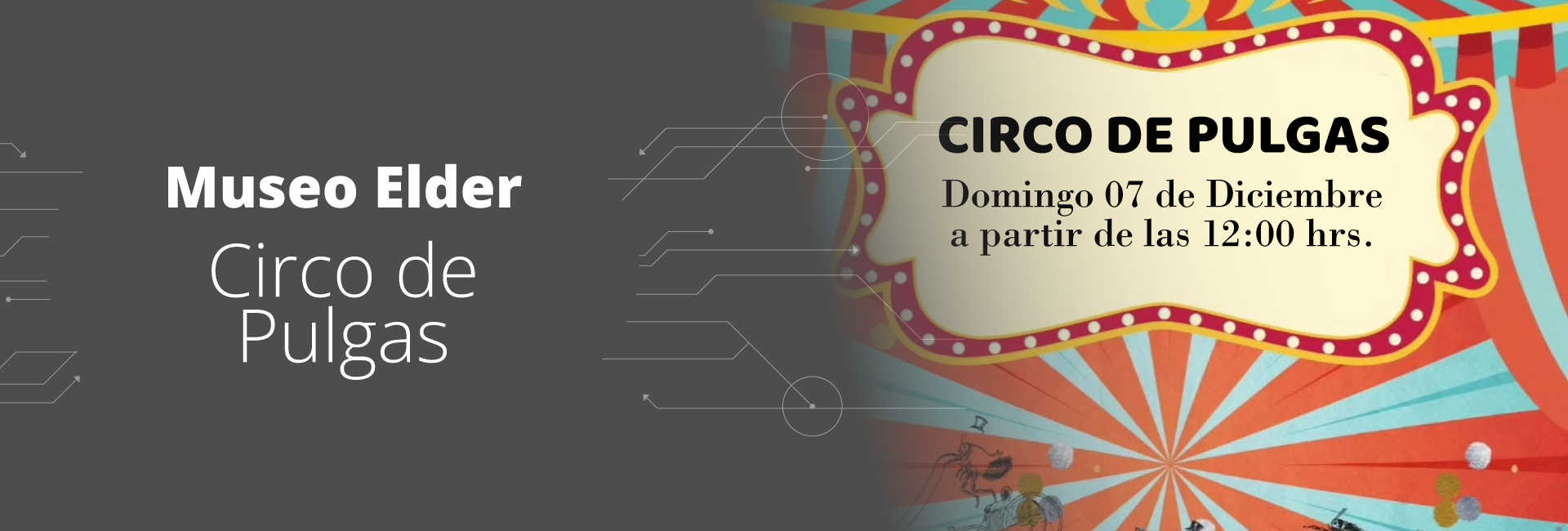 CIRCO DE PULGAS DICIEMBRE 07